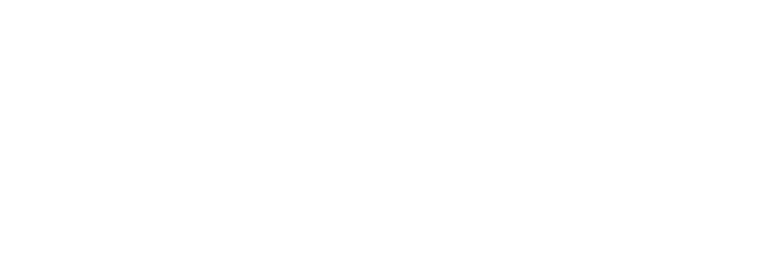 GLOBALSERVICE Logo 2